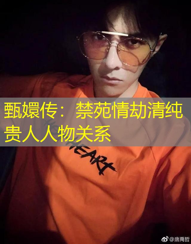 甄嬛传：禁苑情劫清纯贵人人物关系