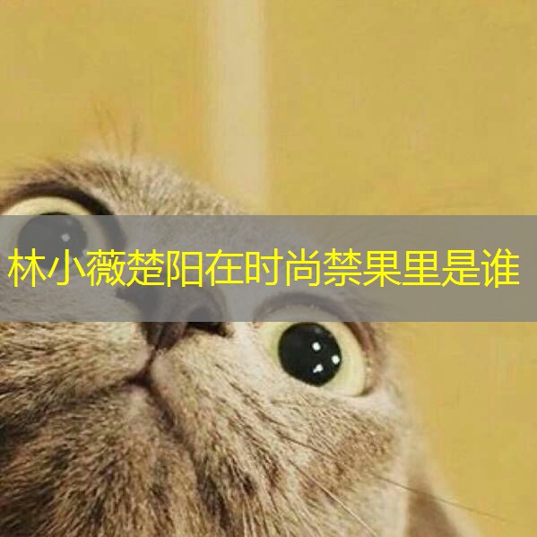 林小薇楚阳在时尚禁果里是谁