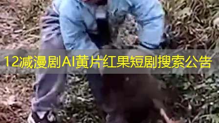 12减漫剧AI黄片红果短剧搜索公告 12减漫剧AI黄片红果短剧搜索公告
