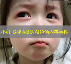 小红书搜索B站AI色情内容事件 小红书搜索B站AI色情内容事件