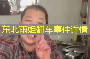 东北雨姐翻车事件详情 东北雨姐翻车事件详情