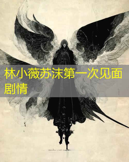 林小薇苏沫第一次见面剧情