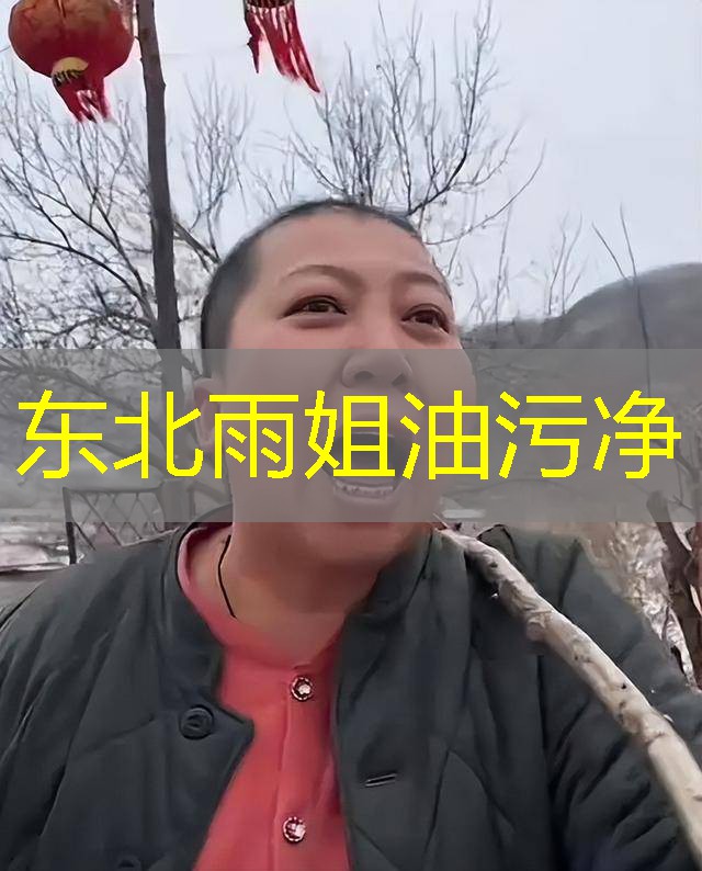 东北雨姐油污净 东北雨姐油污净