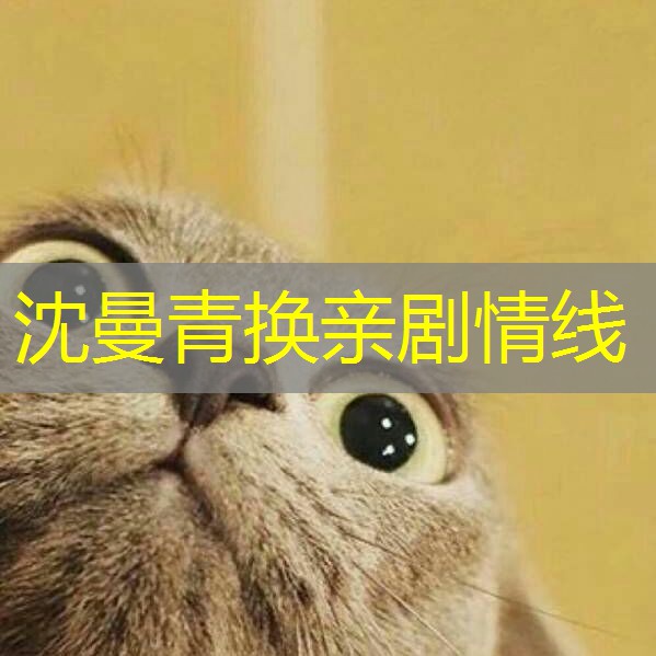 沈曼青换亲剧情线