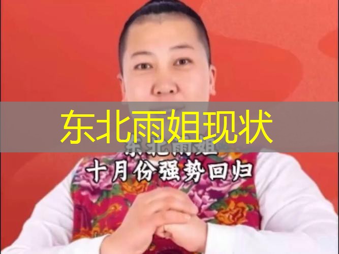 东北雨姐现状 东北雨姐现状