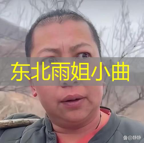 东北雨姐小曲 东北雨姐小曲