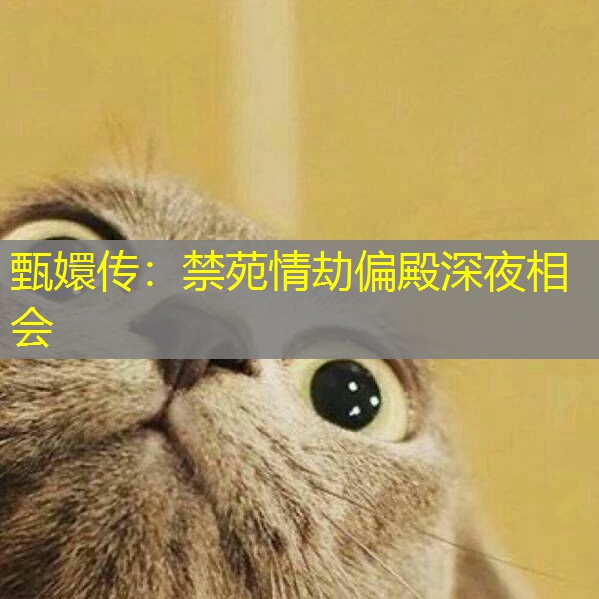 甄嬛传:禁苑情劫偏殿深夜相会 甄嬛传:禁苑情劫偏殿深夜相会