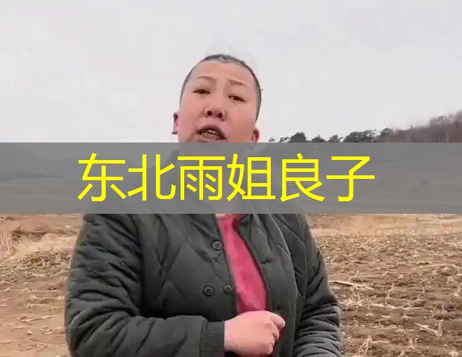 东北雨姐良子