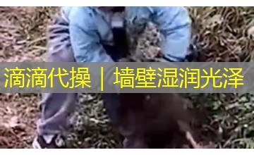 滴滴代操｜墙壁湿润光泽