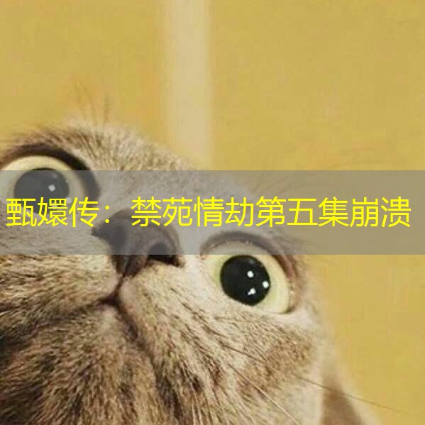 甄嬛传:禁苑情劫第五集崩溃 甄嬛传:禁苑情劫第五集崩溃