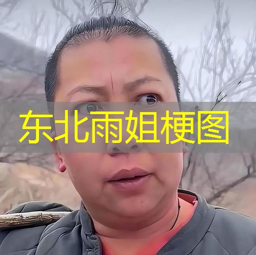 东北雨姐梗图 东北雨姐梗图