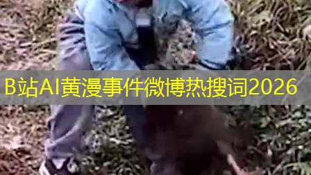 B站AI黄漫事件微博热搜词2026 B站AI黄漫事件微博热搜词2026