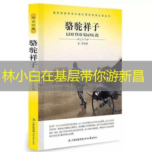 林小白在基层带你游新昌