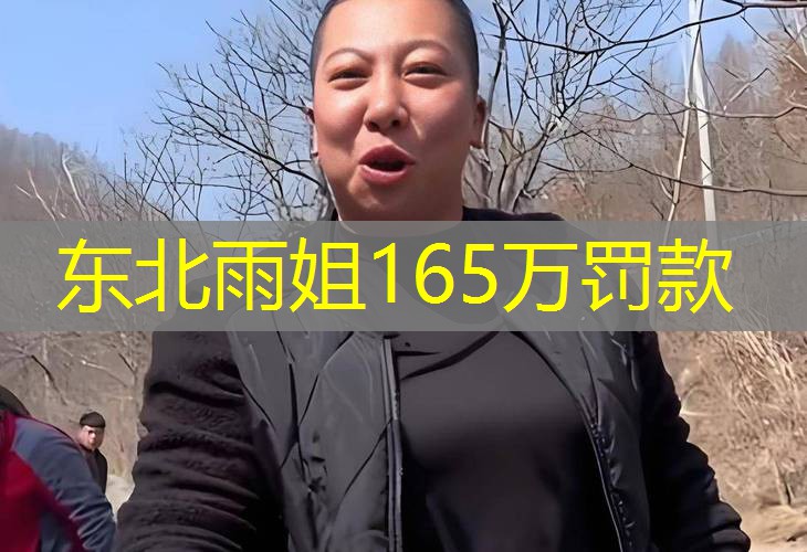 东北雨姐165万罚款 东北雨姐165万罚款
