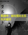 甄嬛传:禁苑情劫全系列关键词 甄嬛传:禁苑情劫全系列关键词