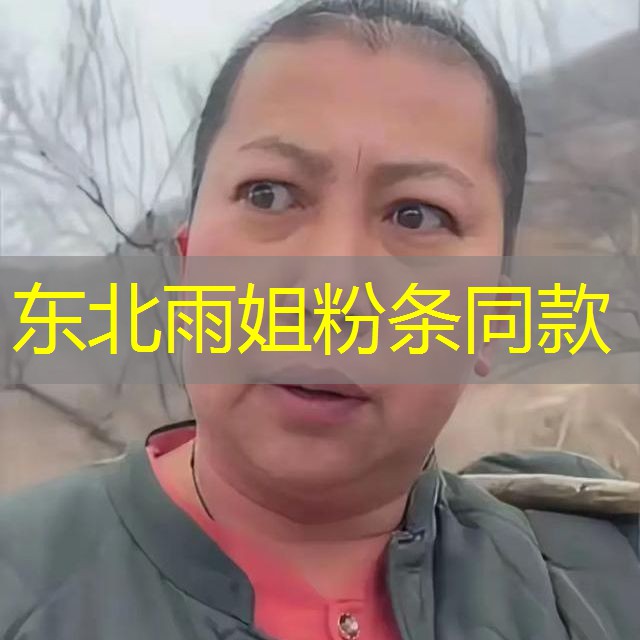 东北雨姐粉条同款 东北雨姐粉条同款