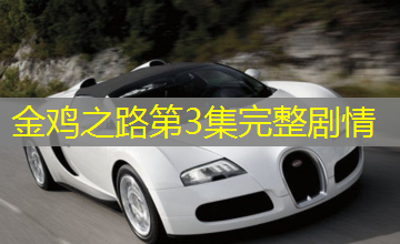 金鸡之路第3集完整剧情 金鸡之路第3集完整剧情