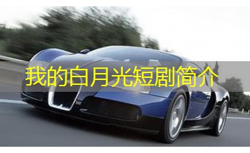 我的白月光短剧简介