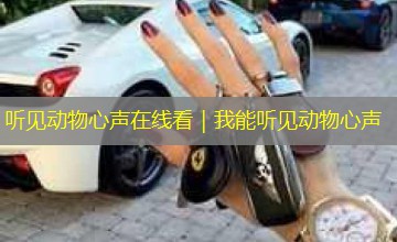 听见动物心声在线看|我能听见动物心声 听见动物心声在线看|我能听见动物心声