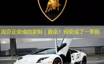 周奇正变成自家狗|救命!我变成了一条狗 周奇正变成自家狗|救命!我变成了一条狗