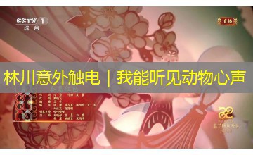 林川意外触电｜我能听见动物心声