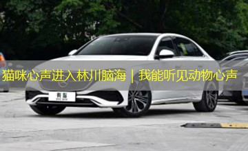 猫咪心声进入林川脑海｜我能听见动物心声