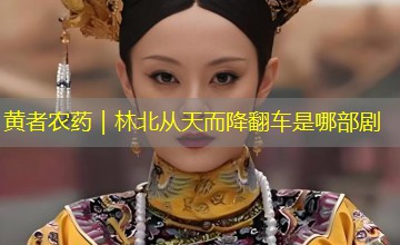 黄者农药|林北从天而降翻车是哪部剧 黄者农药|林北从天而降翻车是哪部剧