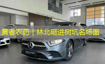 黄者农药|林北砸进树坑名场面 黄者农药|林北砸进树坑名场面