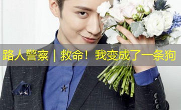 路人警察|救命!我变成了一条狗 路人警察|救命!我变成了一条狗