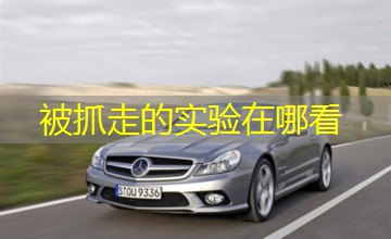 被抓走的实验在哪看