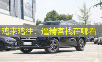 鸡来鸡往:逼精客栈在哪看 鸡来鸡往:逼精客栈在哪看