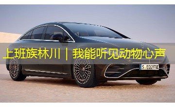 上班族林川|我能听见动物心声 上班族林川|我能听见动物心声