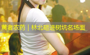 黄者农药|林北砸进树坑名场面 黄者农药|林北砸进树坑名场面