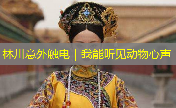 林川意外触电｜我能听见动物心声