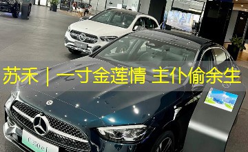 苏禾|一寸金莲情 主仆偷余生 苏禾|一寸金莲情 主仆偷余生