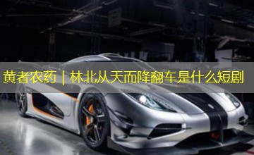 黄者农药｜林北从天而降翻车是什么短剧