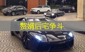 赘婿后宅争斗 赘婿后宅争斗