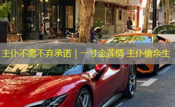 主仆不离不弃承诺|一寸金莲情 主仆偷余生 主仆不离不弃承诺|一寸金莲情 主仆偷余生