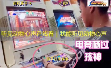 听见动物心声在线看|我能听见动物心声 听见动物心声在线看|我能听见动物心声