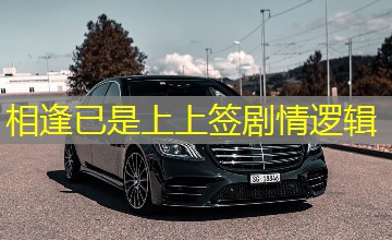 相逢已是上上签剧情逻辑 相逢已是上上签剧情逻辑