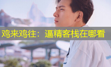 鸡来鸡往:逼精客栈在哪看 鸡来鸡往:逼精客栈在哪看