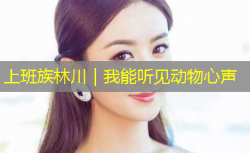 上班族林川|我能听见动物心声 上班族林川|我能听见动物心声